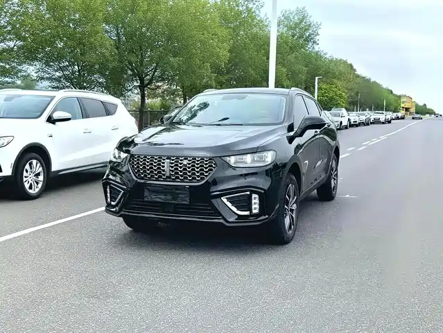  WEY Wey VV5 2021 1.5T 2WD Trend Pioneer