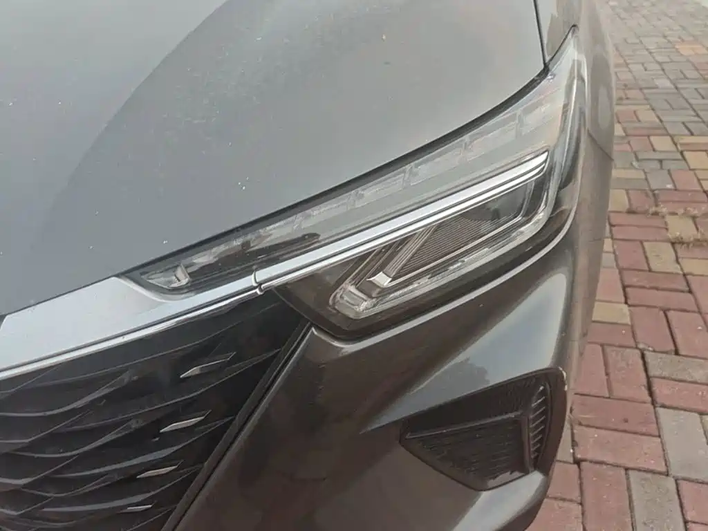Фото 24 - Roewe RX5