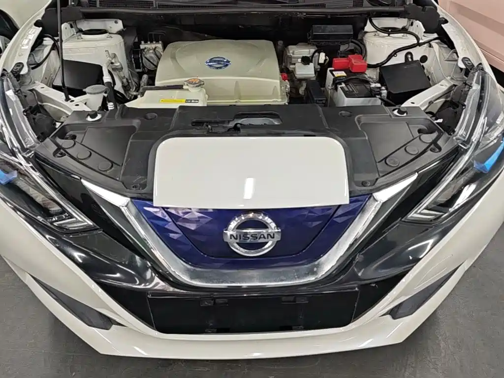 Nissan Sylphy Zero Emission 2019 2018 Intelligent Premium Edition