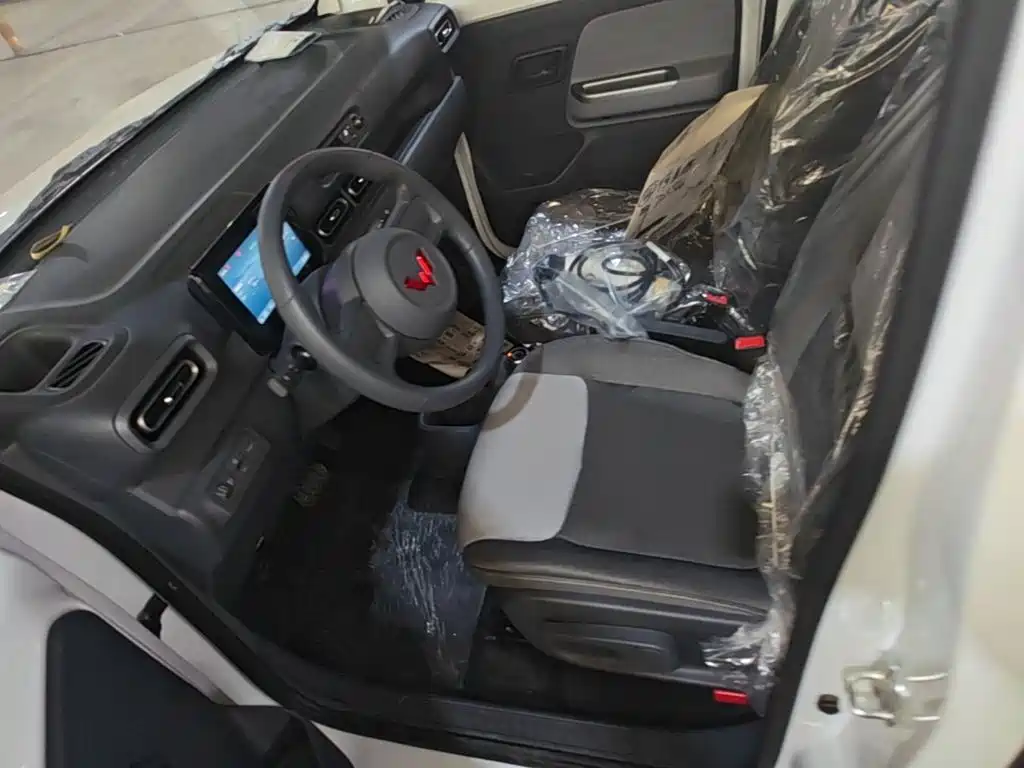 Wuling Motors Wuling Zhiguang NEV 2026 2025 Model 305km Base Version