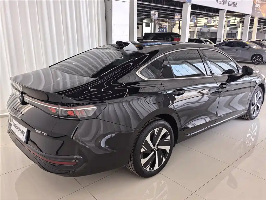 Volkswagen Magotan 2024 300TSI DSG Premium Edition (Eye-catching Package) фото 6