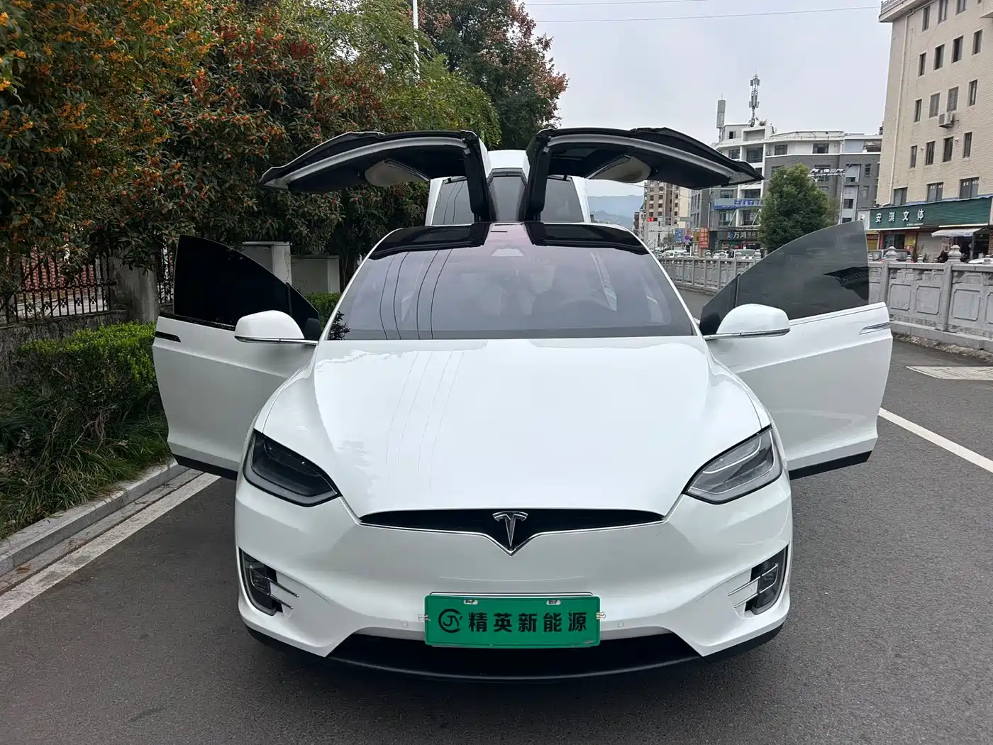 TESLA MODEL X