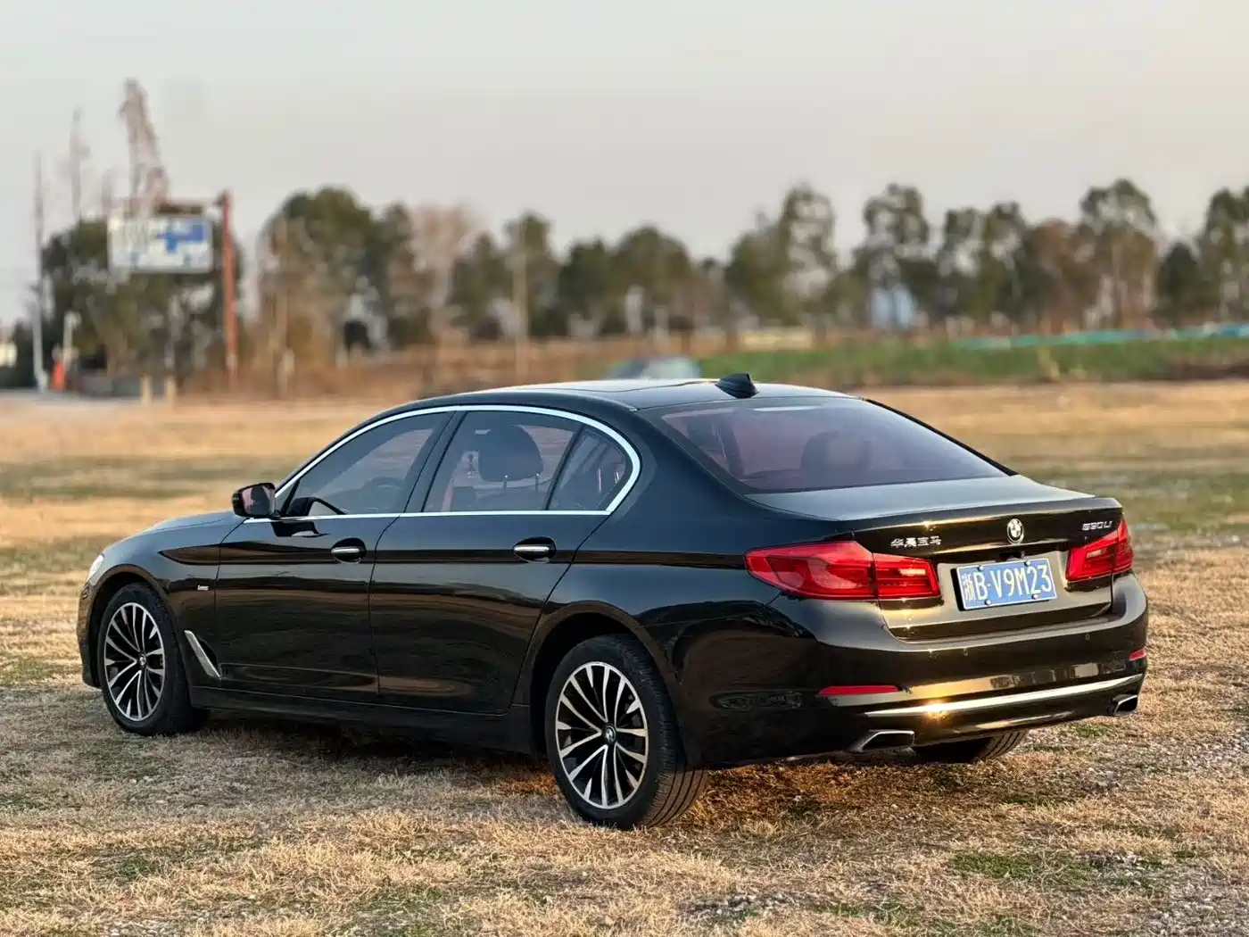 BMW 5 Series 2018 Facelift 530Li Leading Luxury Package фото 14
