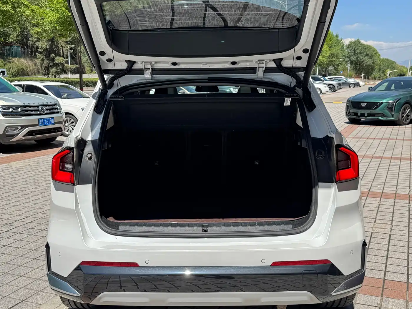 BMW X1 2025 2024 sDrive25Li X Design Package