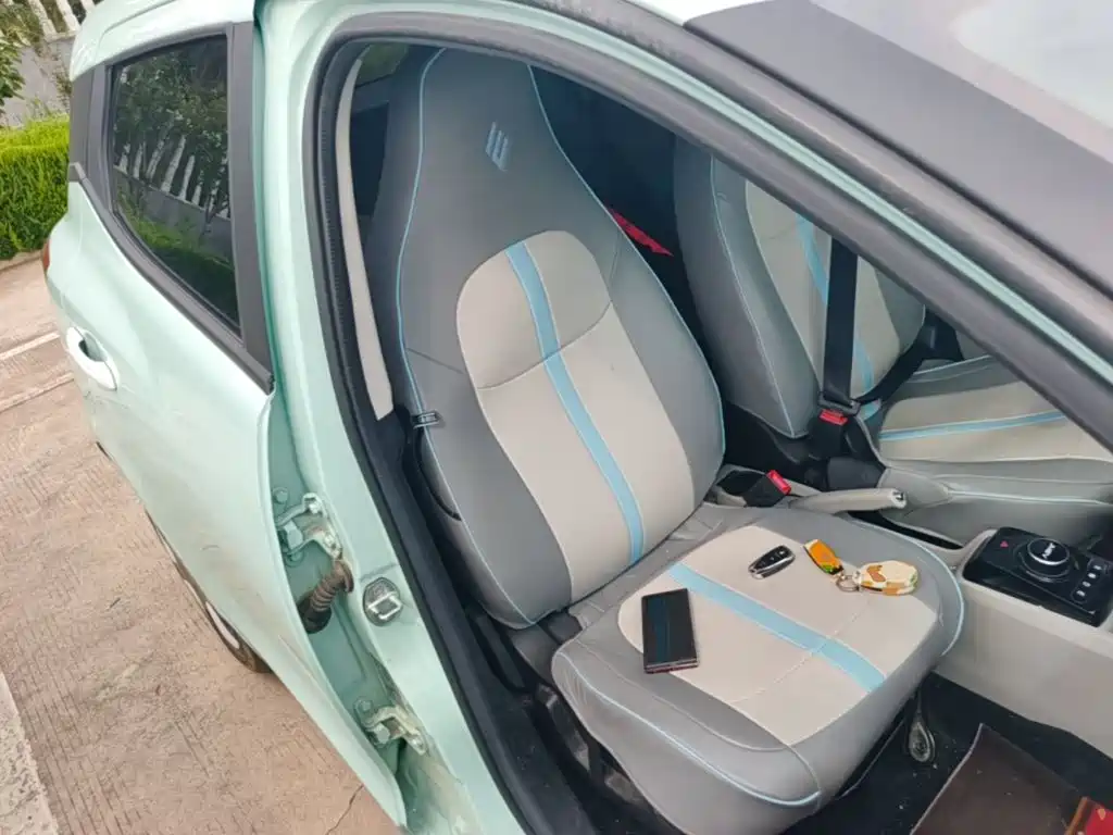 JMCG New Energy Yizhi EV3 2024 2024 Youth Edition 330KM Comfort