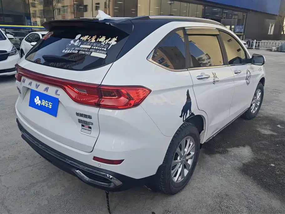 HAVAL M6