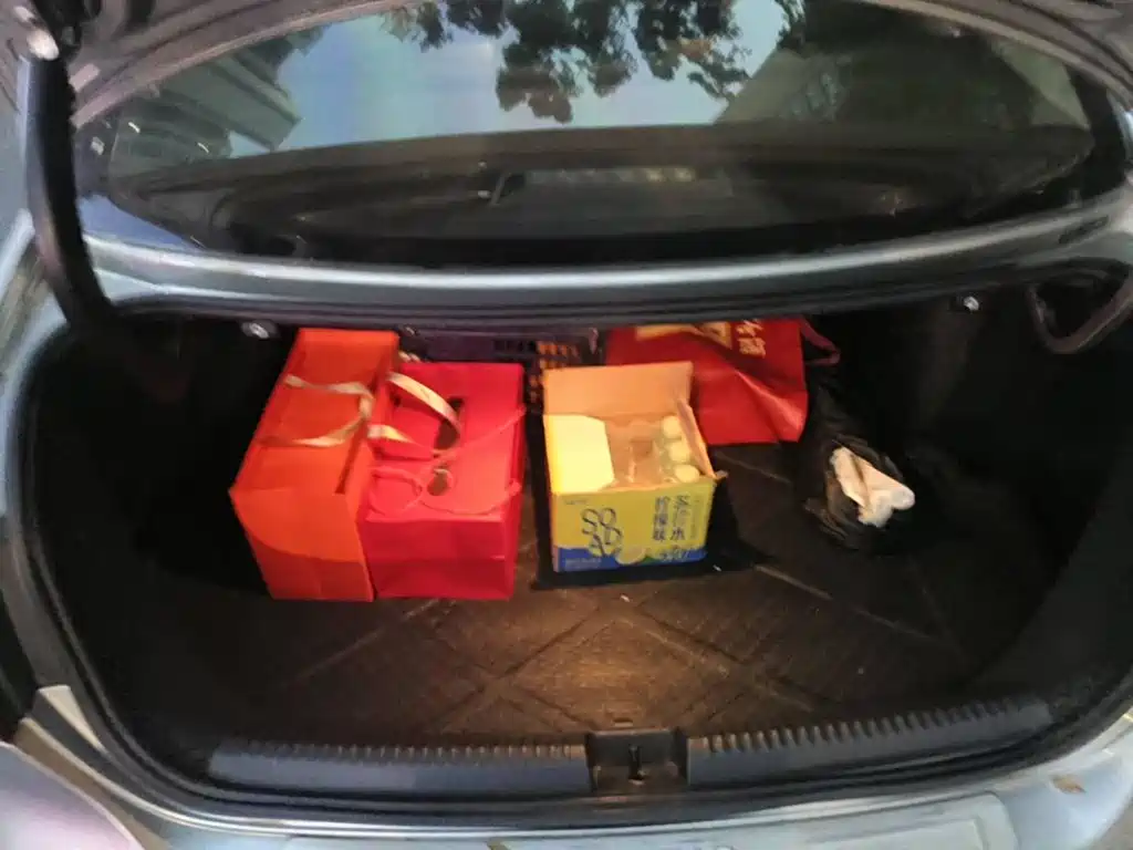 Photo 5 - Volkswagen Sagitar