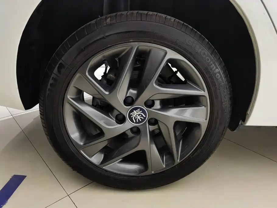 BYD Qin New Energy 2020 2019 Long Range Edition Premium