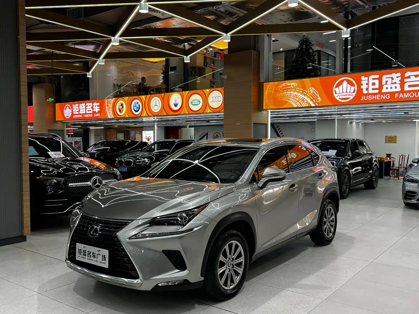 LEXUS NX