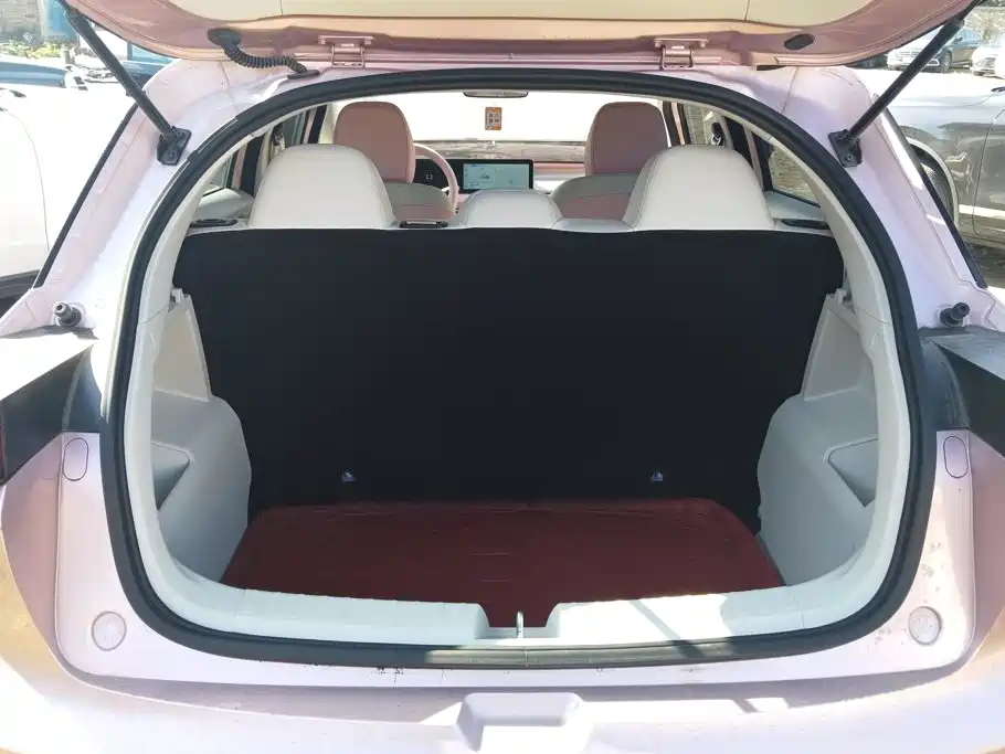 Фото 4 - Geely Geometry E Firefly