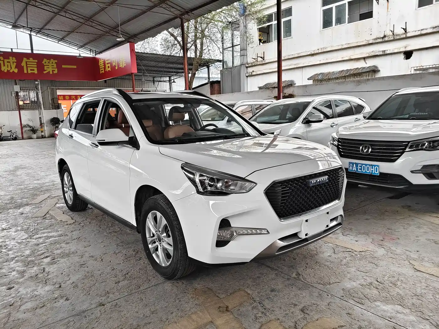 HAVAL M6