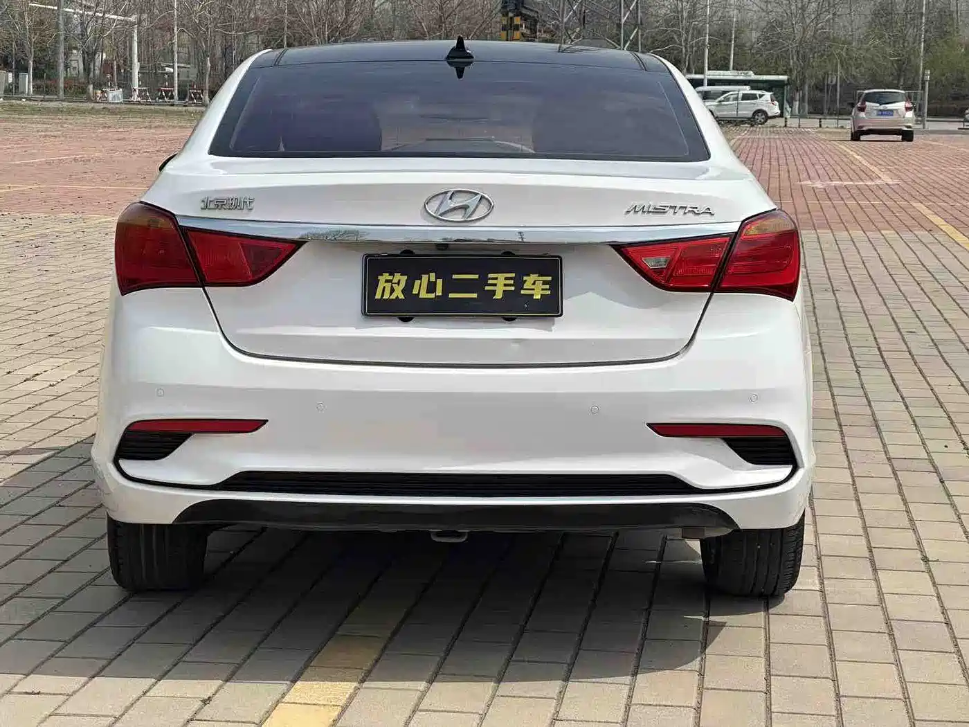 HYUNDAI NAME PICTURE