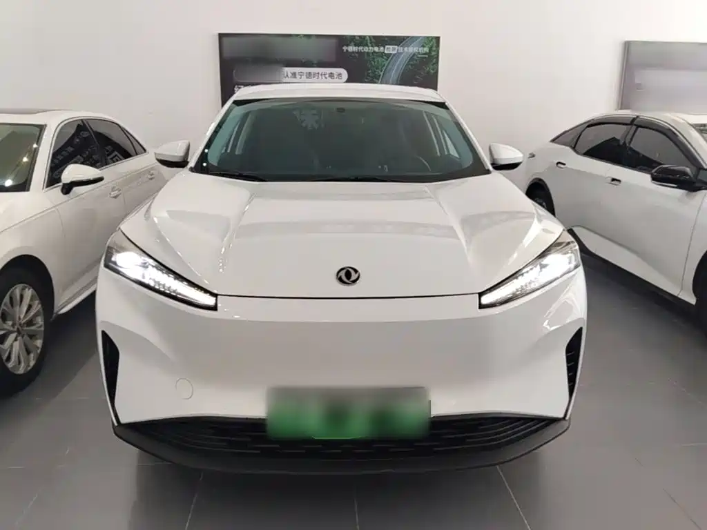 Dongfeng Aeolus SKY EV01 2024 2024 530km PRO