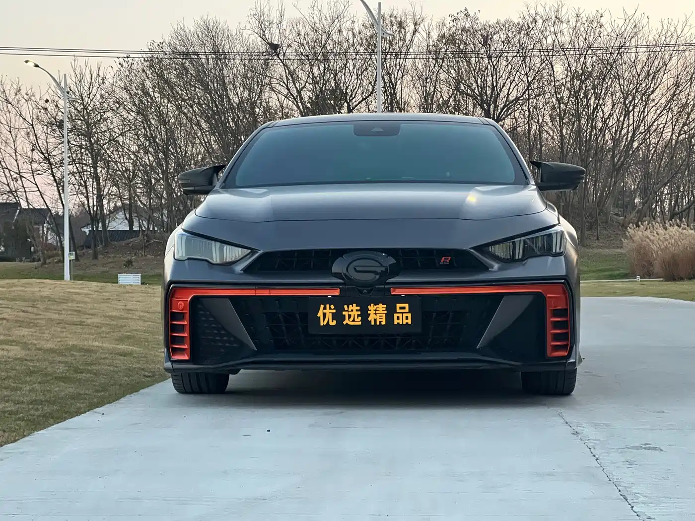 GAC SHADOW LEOPARD
