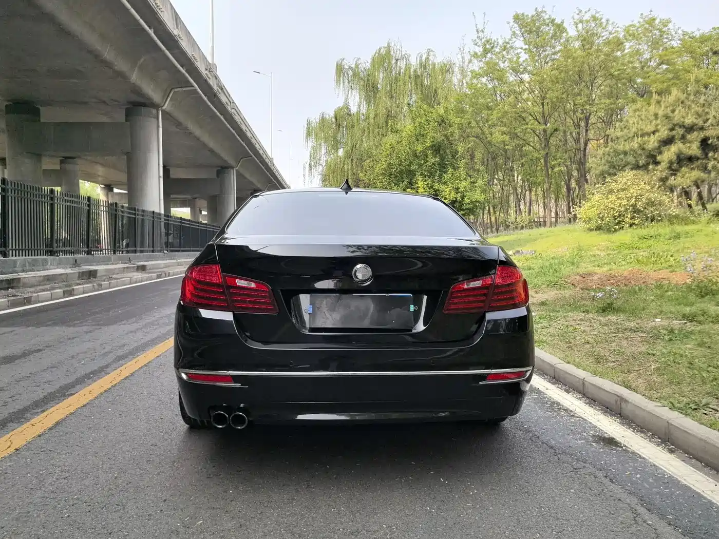 BMW 5 Series 2014 525Li Luxury Design Package фото 13