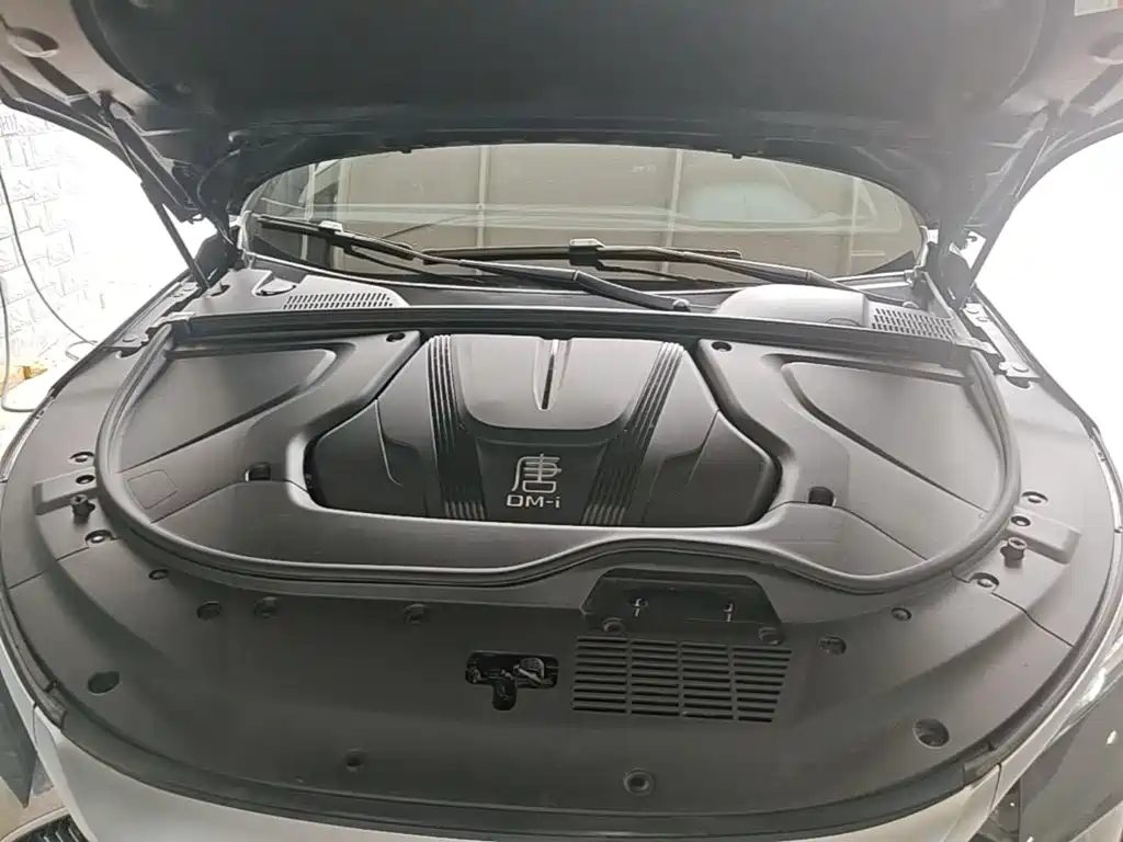 BYD Tang New Energy 2025 2025 Smart Driving Edition DM-i 115KM Premium