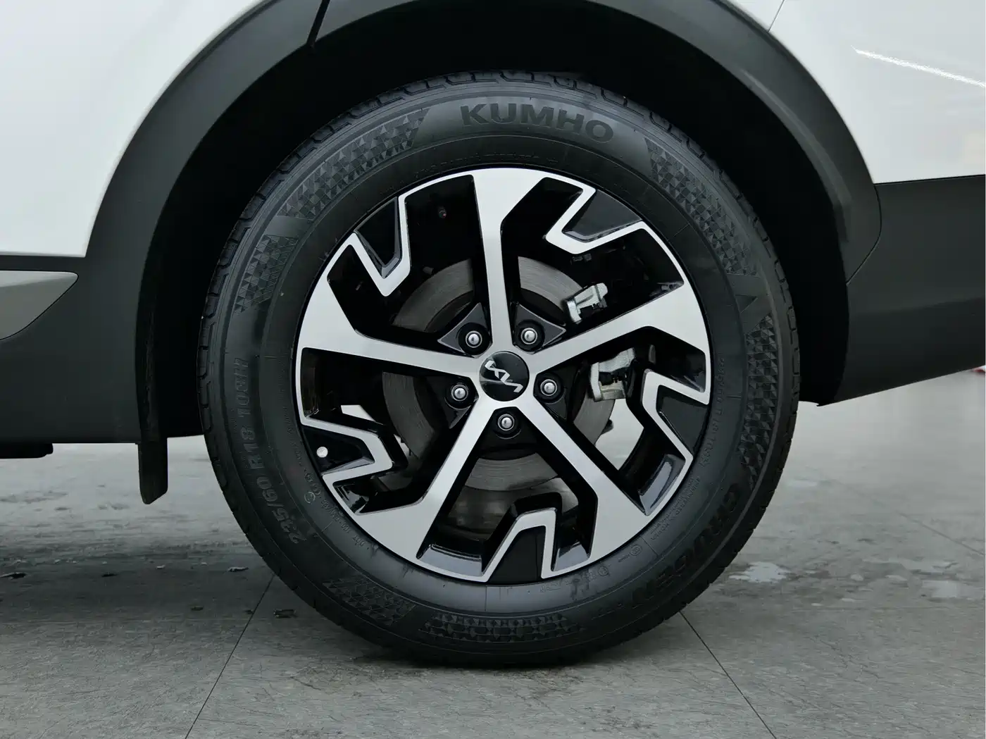 KIA LION PLATINUM EXPANDS THE WORLD