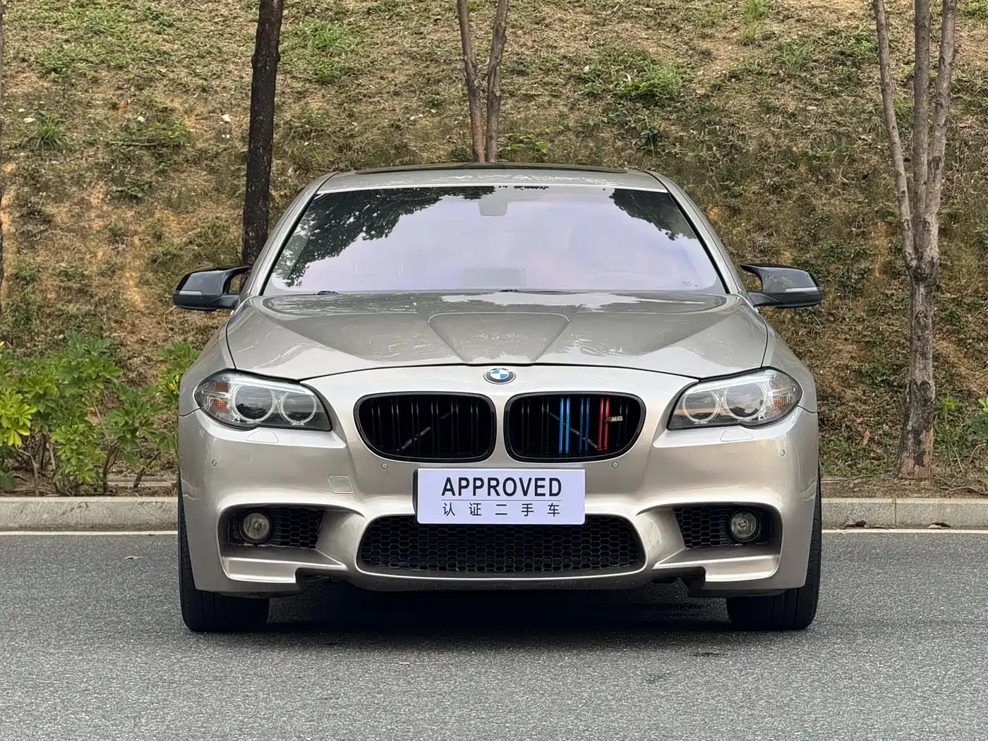 BMW 5 Series 2014 525Li Leading фото 2