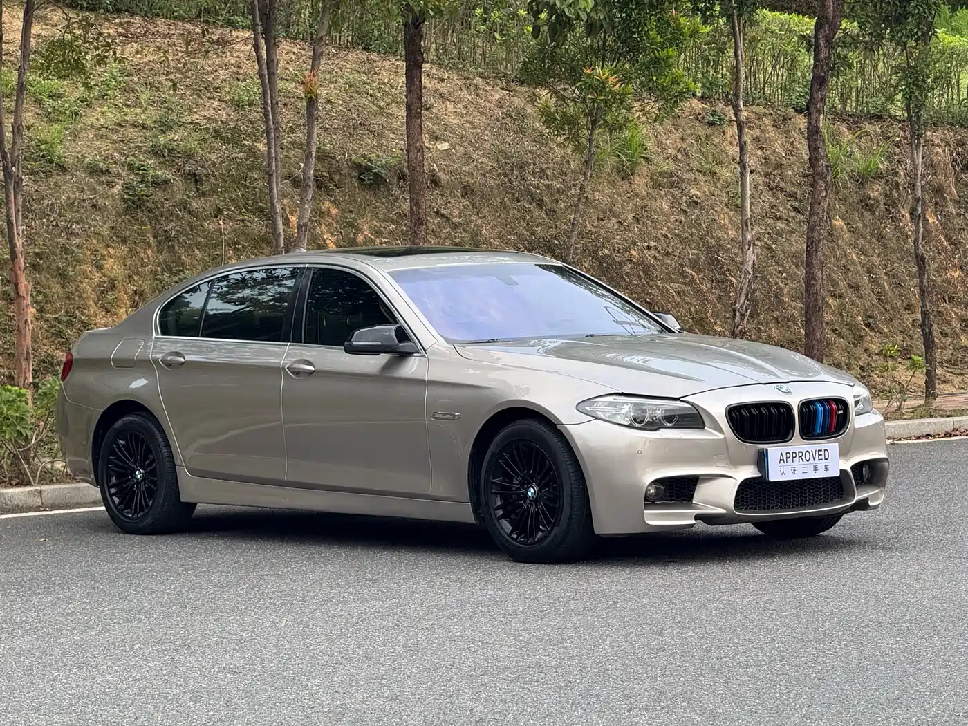 BMW 5 Series 2014 525Li Leading фото 3