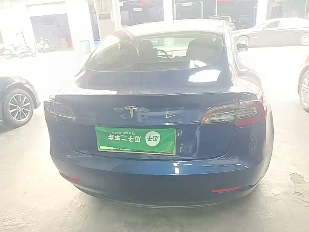 Tesla Model 3 (Import) 2019 2019 Long Range RWD Version