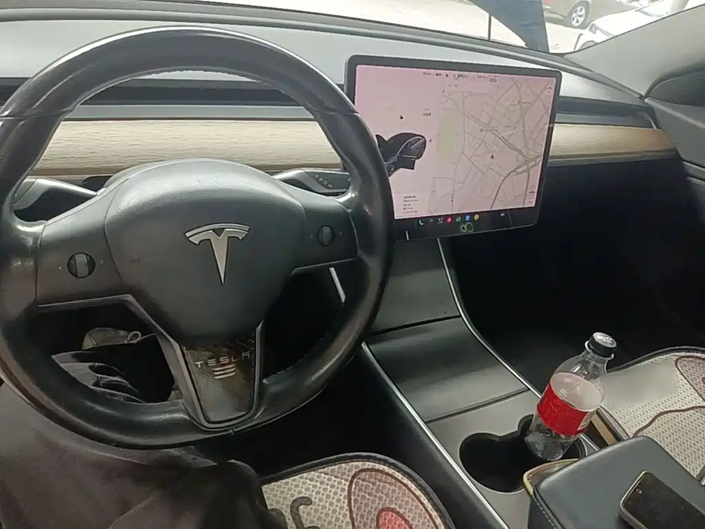 Tesla Model 3 (Import) 2019 2019 Long Range RWD Version