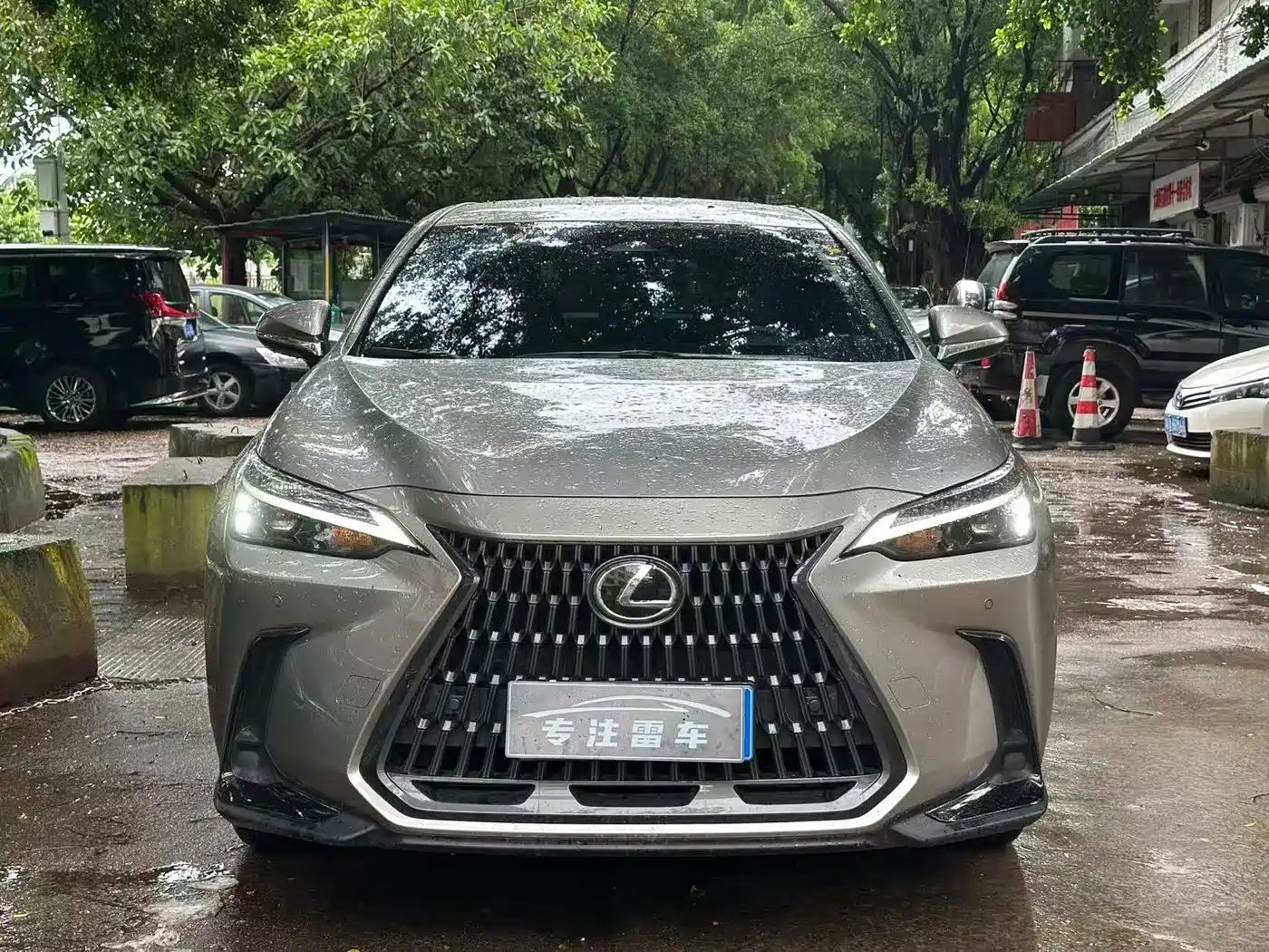 Lexus NX 2025 2024 260 FWD Innovation Edition
