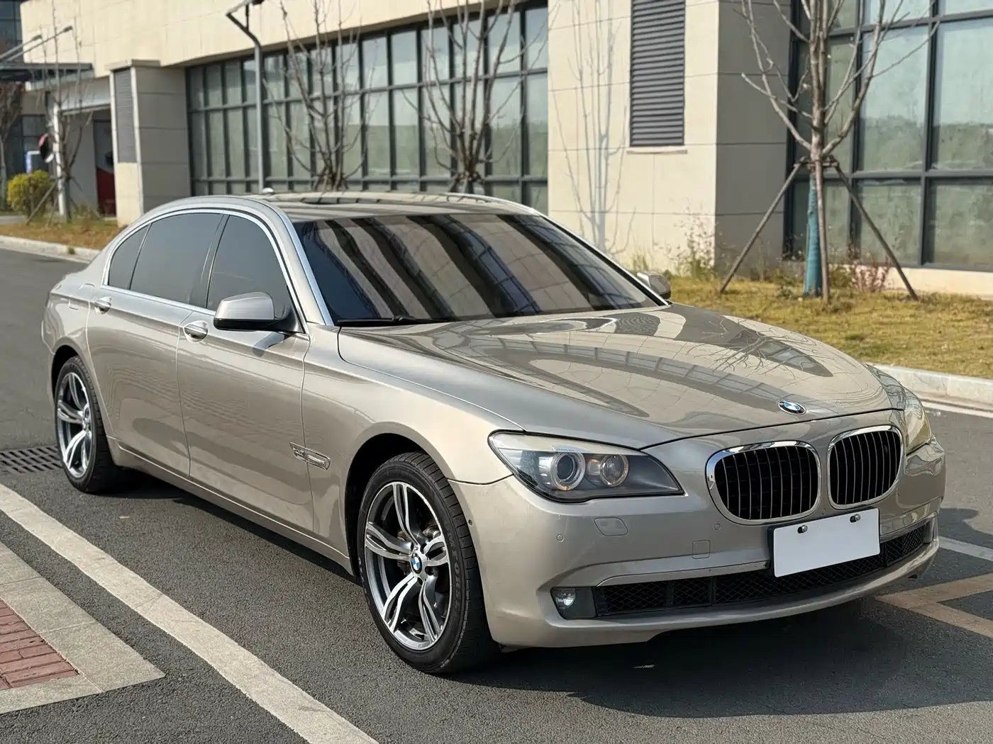 BMW 7 Series 2011 750Li xDrive фото 3
