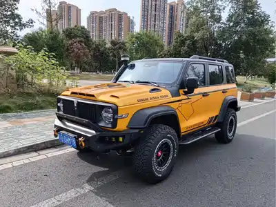 Tank 300