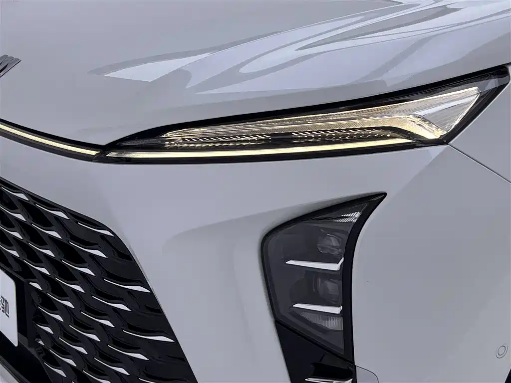 BUICK GL8 NEW ENERGY