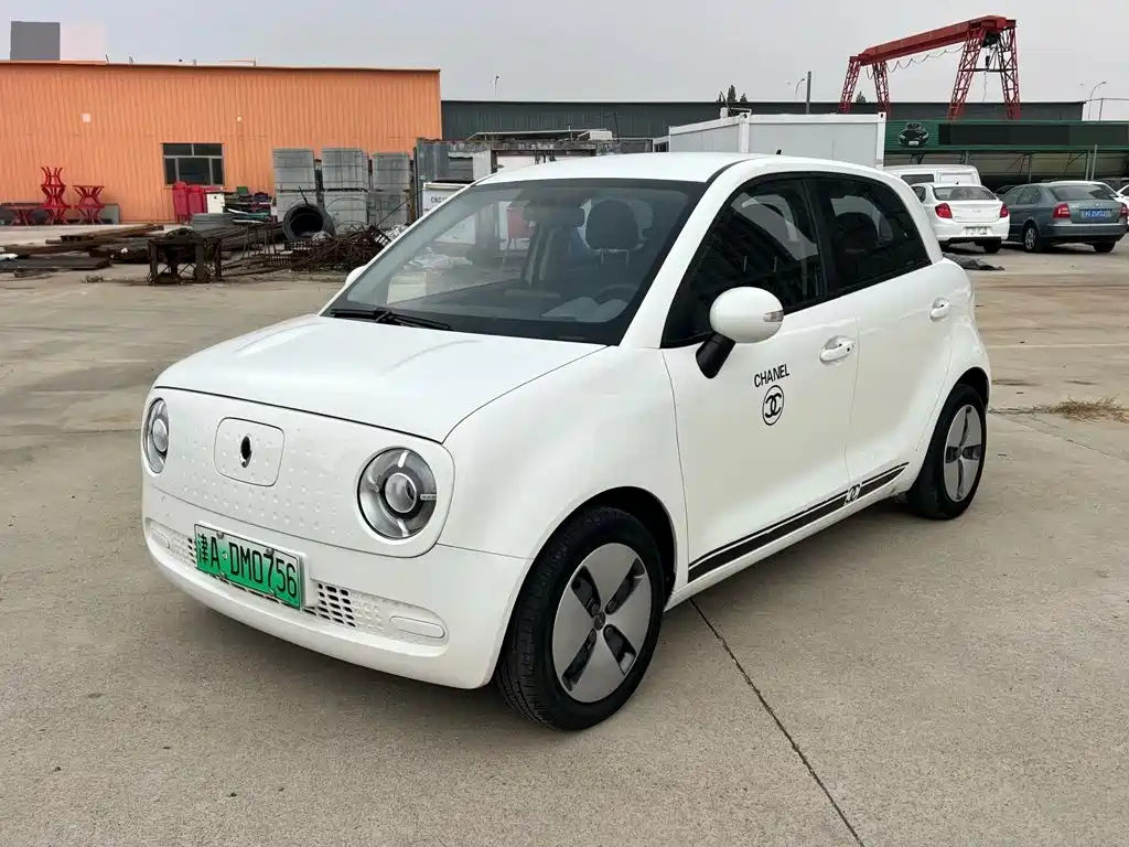 Ora Black Cat 2019 2019 310km Fun Edition