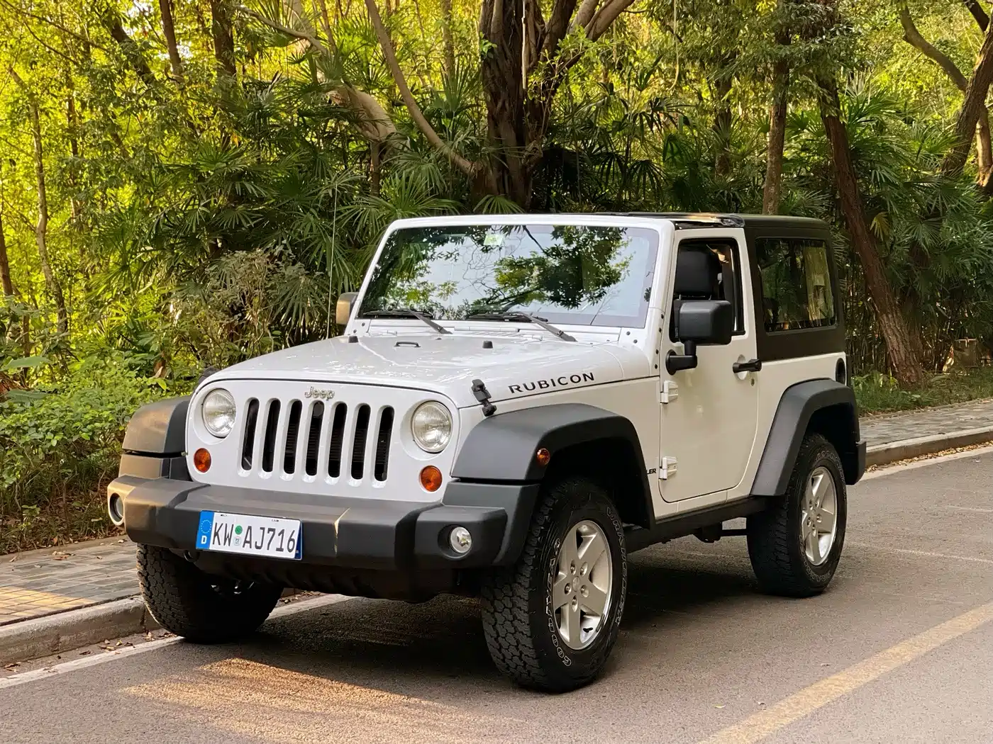 Jeep Wrangler 2011 2011 3.8L Rubicon 2-Door
