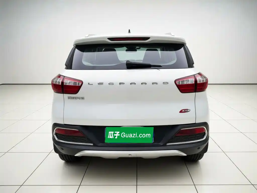 Photo 5 - Leopaard CS9