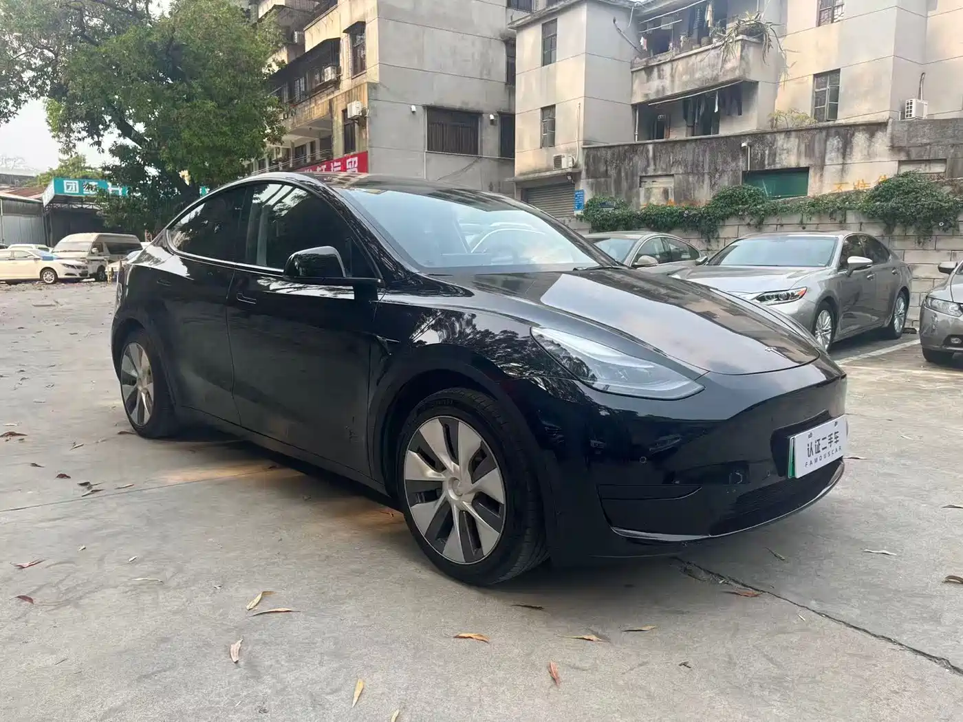 TESLA MODEL Y