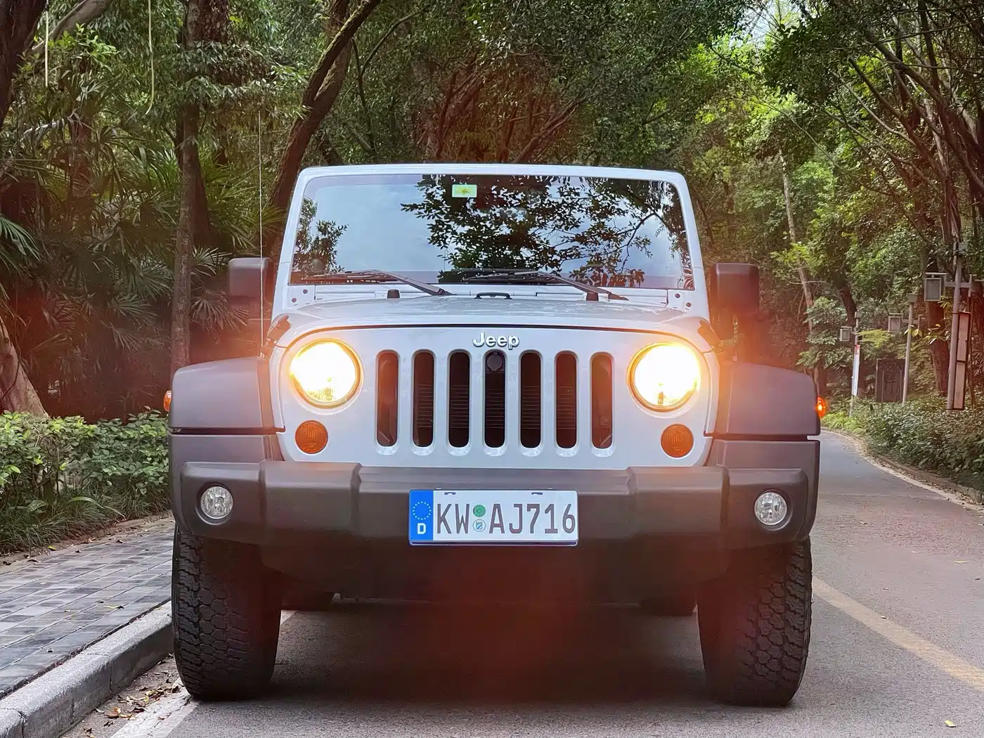 Jeep Wrangler 2011 2011 3.8L Rubicon 2-Door