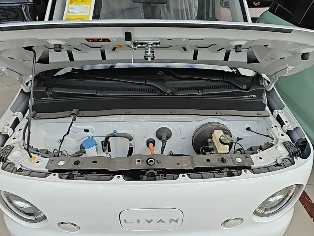 Ruilan Auto Ruilan Blue Elf 2026 2025 Base Model
