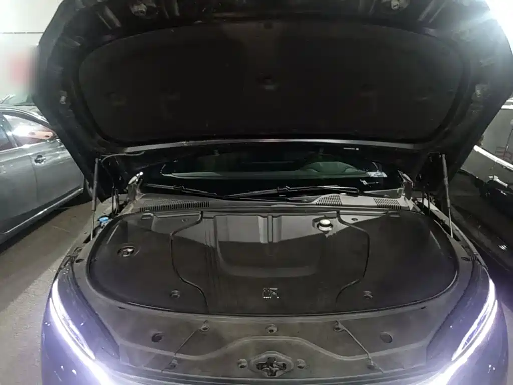 Photo 20 - BYD Han
