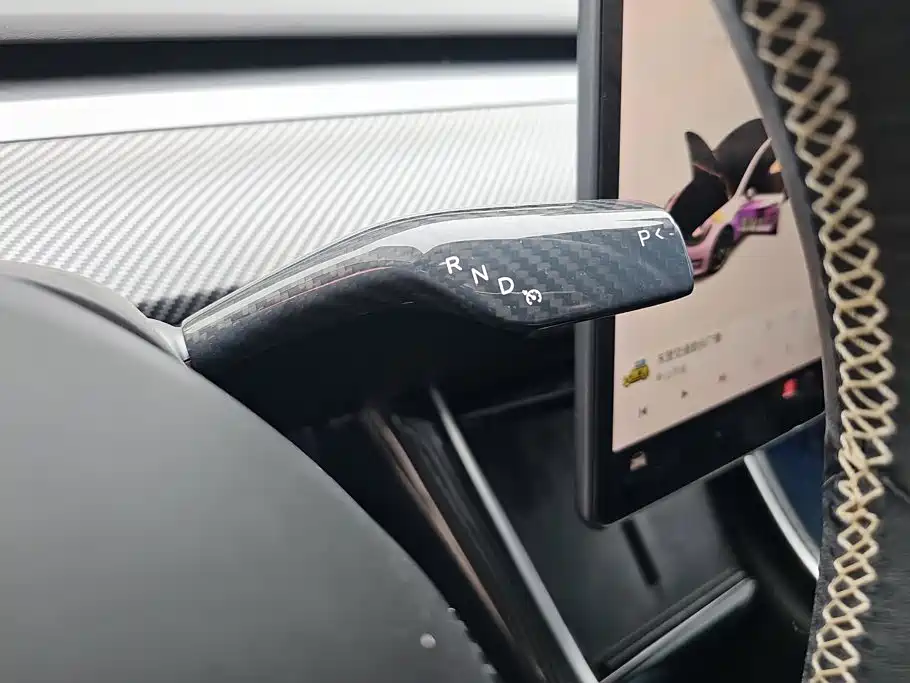 Tesla Model 3 (Import) 2019 2019 Performance High-Efficiency All-Wheel Drive Version
