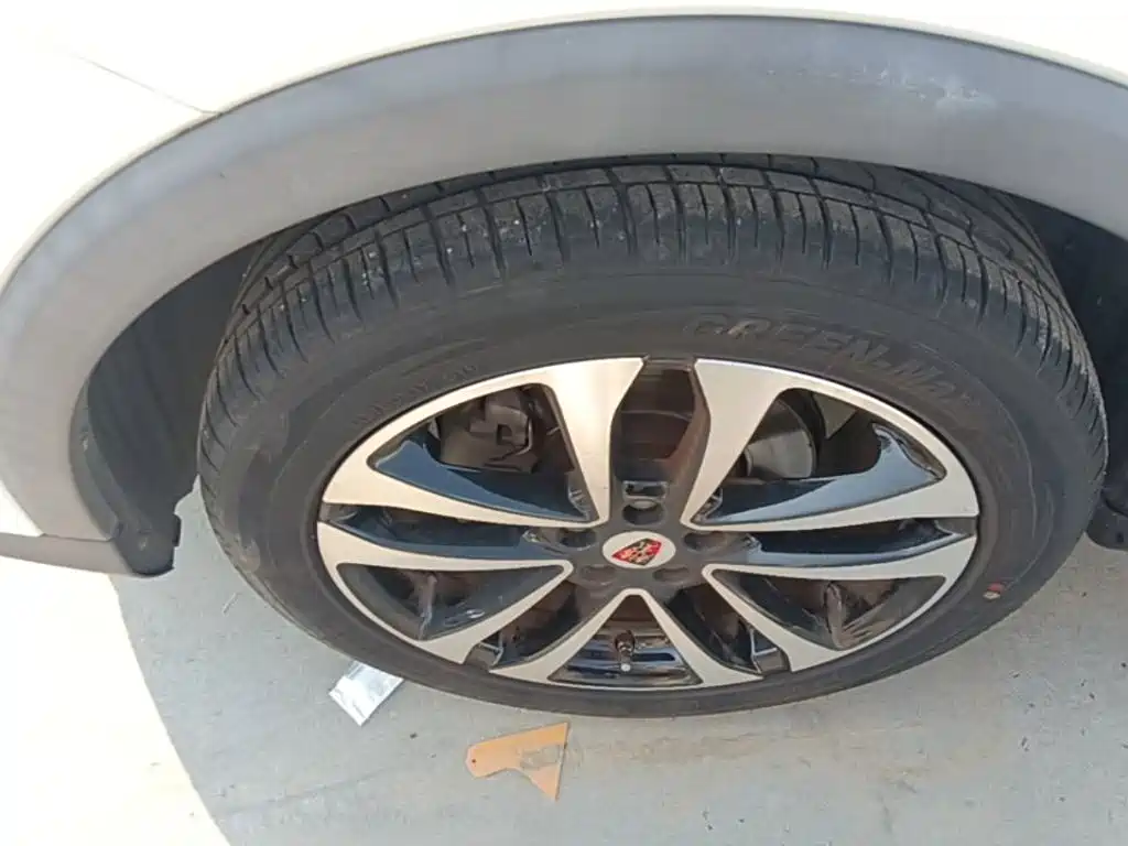 Фото 23 - Roewe RX3