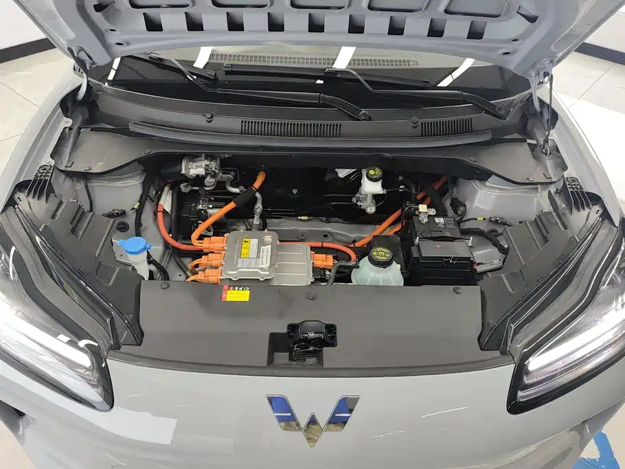 Wuling Motors Wuling Binguo PLUS 2026 2024 401km Range 5-seater