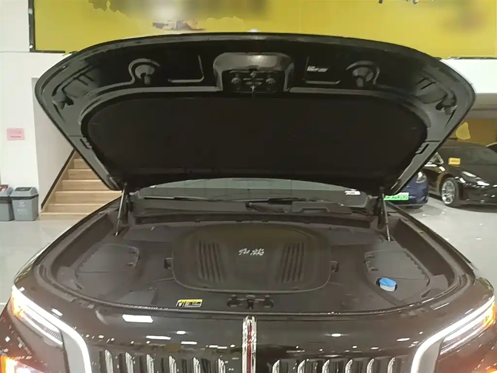 Hongqi E-HS9 2022 690km Qi Xiang Edition (6-seater) фото 20