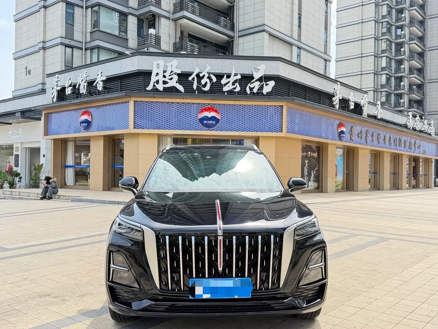 Hongqi HS5 2023 2.0T Flag Enjoy Pro Edition фото 2