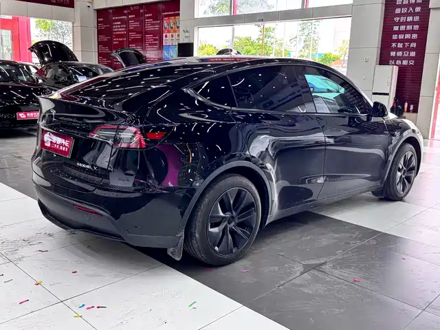 Tesla Model Y 2023 Rear-Wheel Drive Edition — фото 5