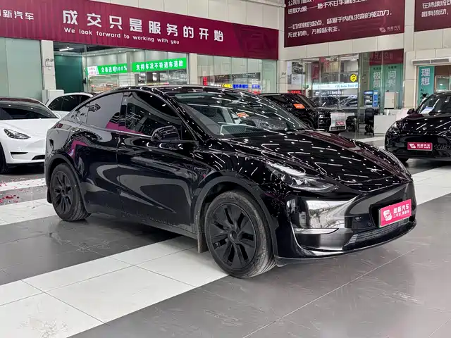 Tesla Model Y 2023 Rear-Wheel Drive Edition — фото 2