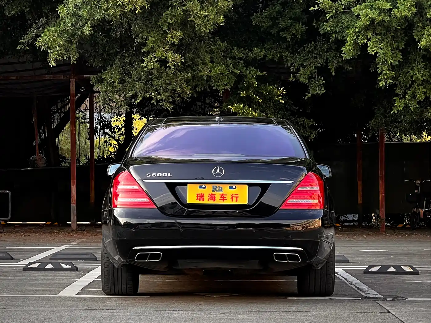 Mercedes-Benz S-Class 2010 S 600 L фото 5
