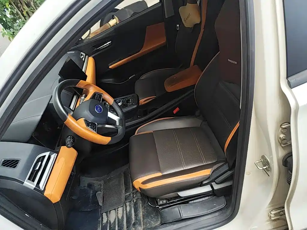BYD e2 2021 2021 Luxury Edition