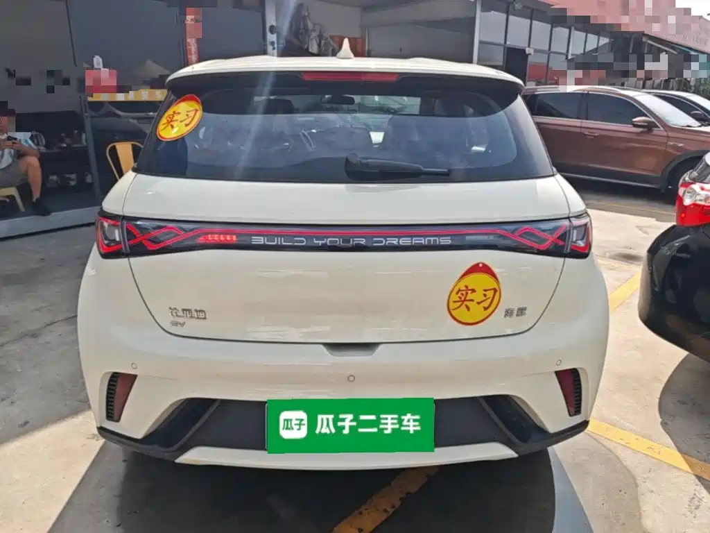 BYD Dolphin 2026 2025 420km Freedom Edition