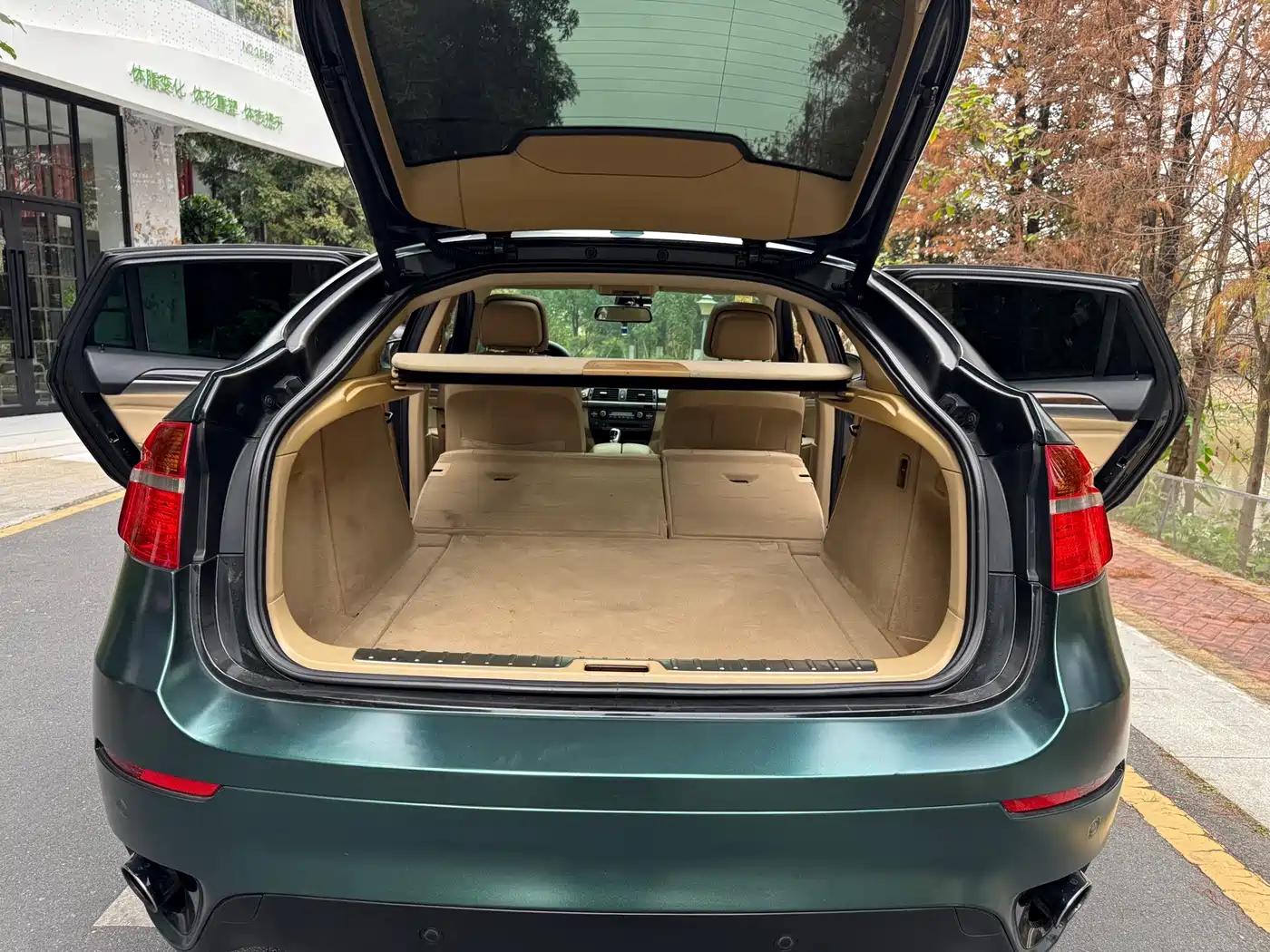 BMW X6 2011 2011 xDrive35i