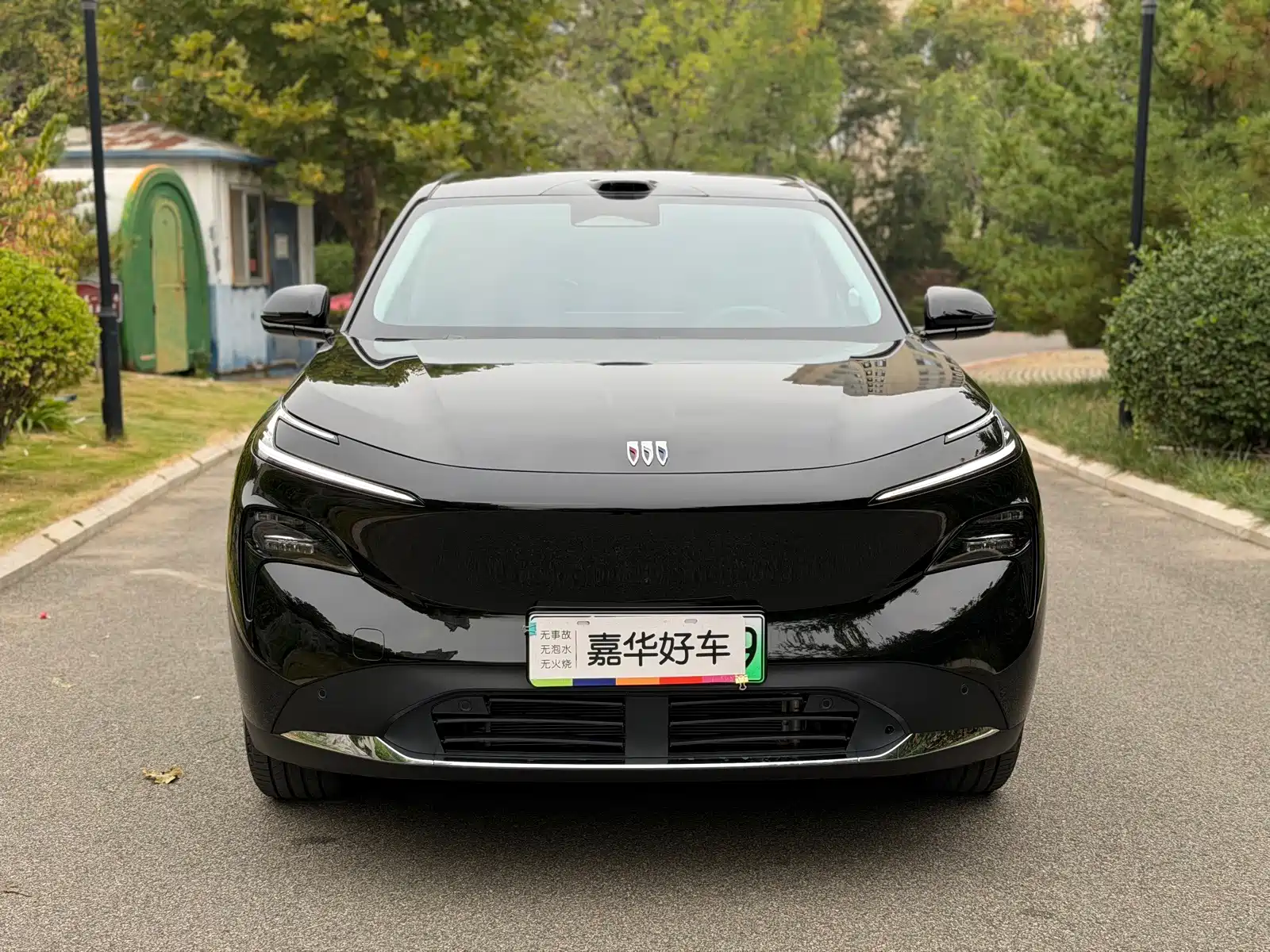 Фото 2 - Buick Zhijing E7