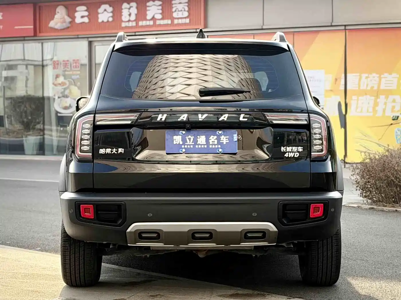 HAVAL BIG DOG