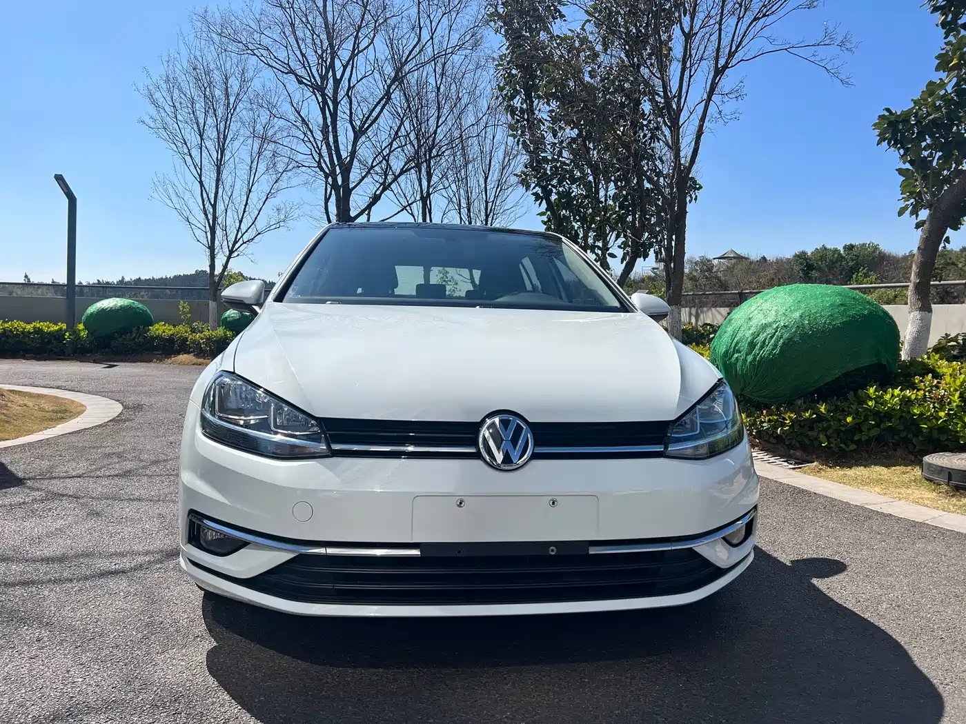 Volkswagen Golf 2019 280TSI DSG Comfort China VI фото 2